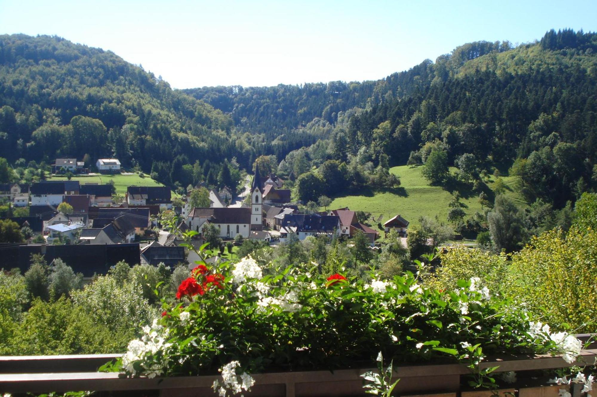 Pension Himmelreich Глатт Экстерьер фото